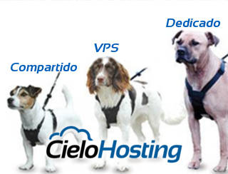 la diferencia servidor compartido vps y dedicado